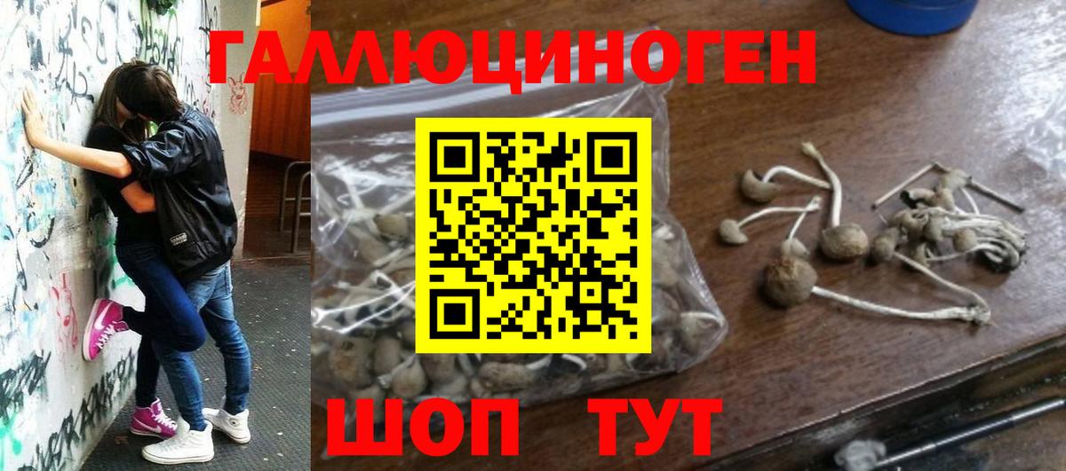 Каннабис  МЕФ   Усть-Джегута  Вход с VPN  Продажа наркотиков  ГАШ  Кокаин 